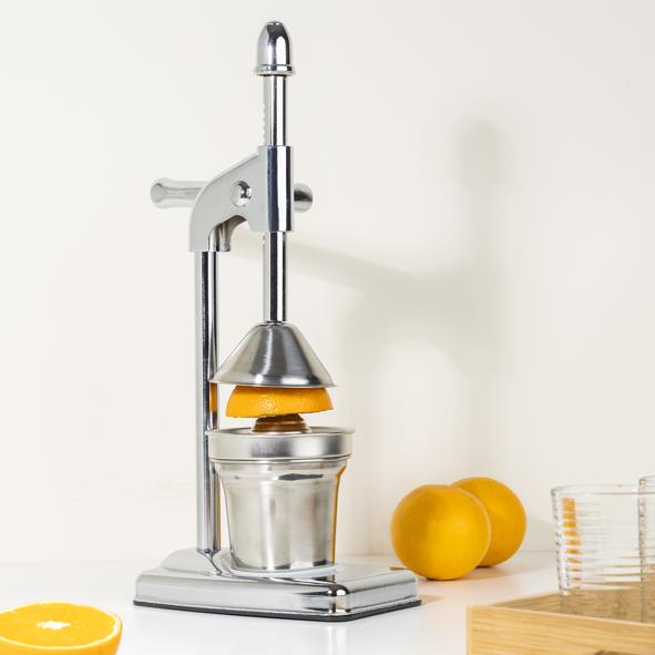 Saftpresse mit Auffangbehälter