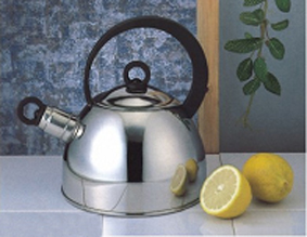 Wasser-Flötenkessel aus Edelstahl 18/8