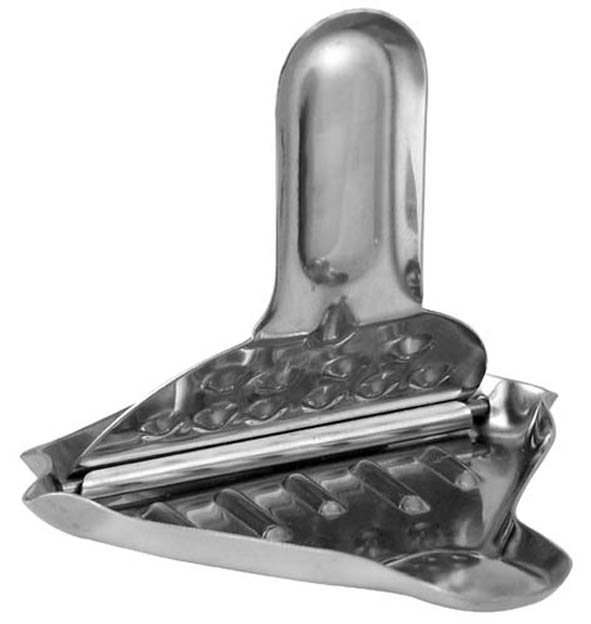 Zitronenpresse aus Edelstahl