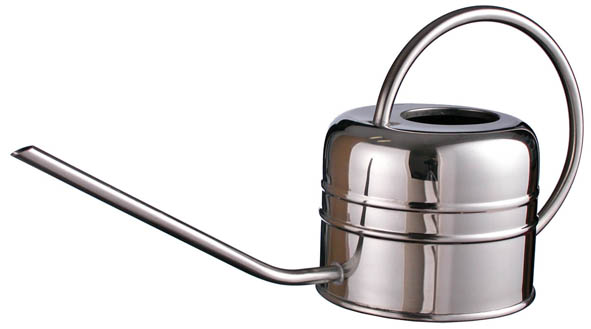 Gießkanne aus Edelstahl