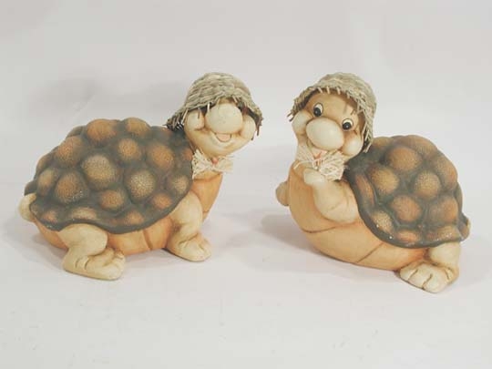 Schildkröte mit Strohhut