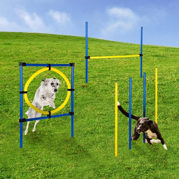 Hundetrainingsset, Agility Set, 12-teilig