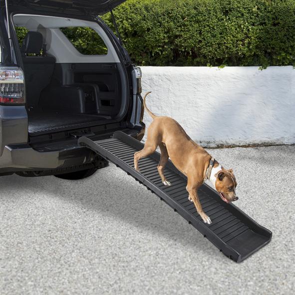 Hunderampe, zusammenklappbar