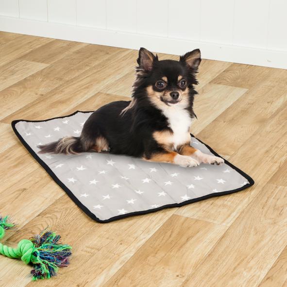 Kühlmatte für Haustiere