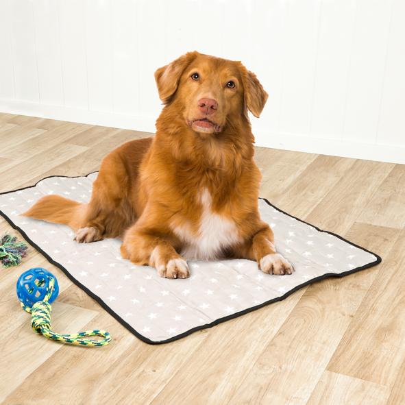 Kühlmatte für Haustiere