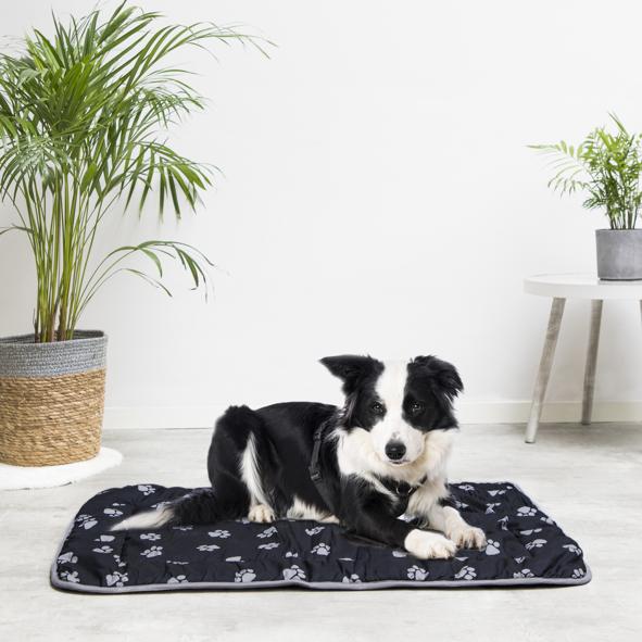 Hygiene-Tierliegekissen