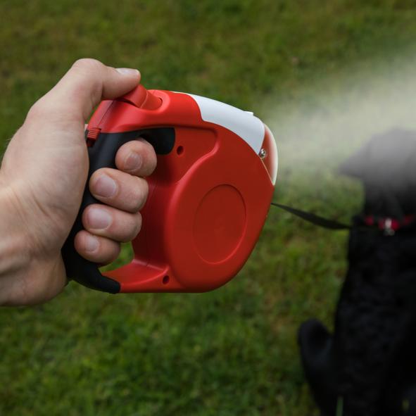 Ausziehbare Hundeleine mit LED Licht