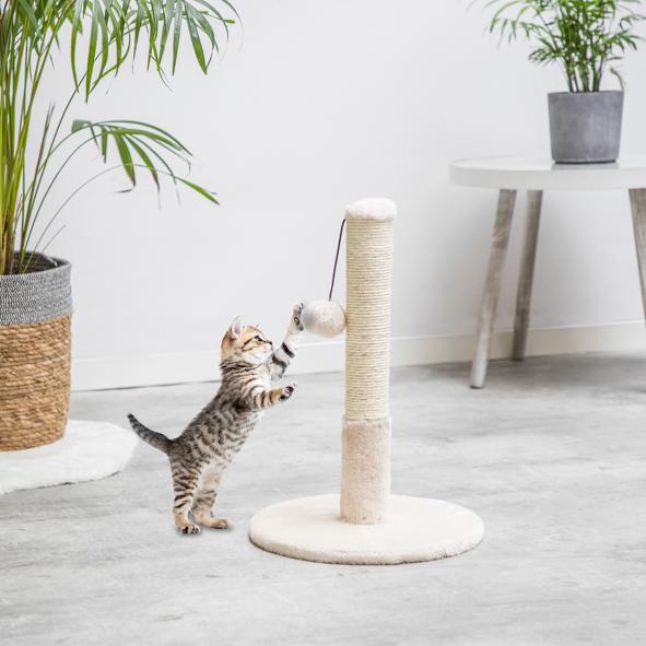 Katzenkratzbaum mit Spielball
