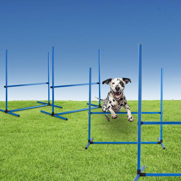 Hunde-Agility-Set, 4-teilig