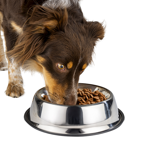 Futternapf aus Edelstahl