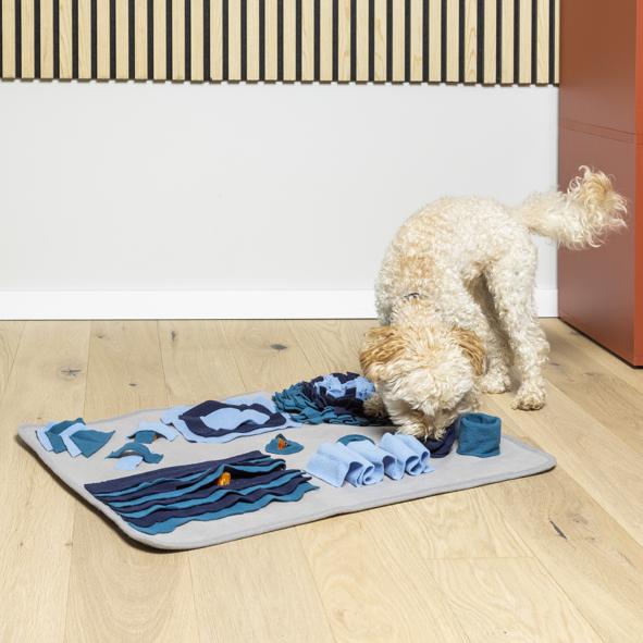 Spiel- und Schnüffelmatte