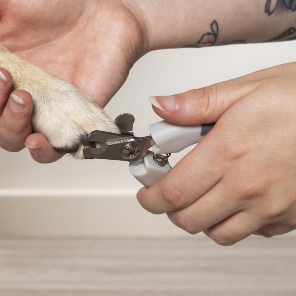 Krallenschere für Haustiere, farblich sortiert