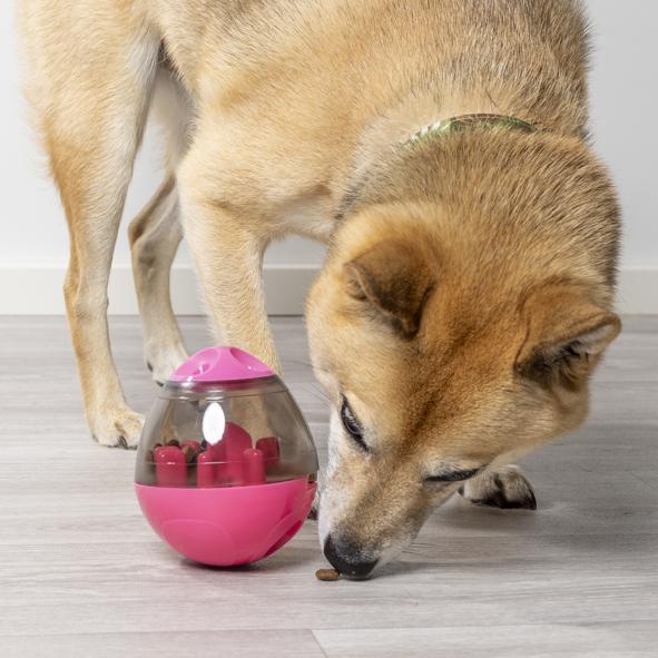 Hunde-Leckerli-Ball, farblich sortiert