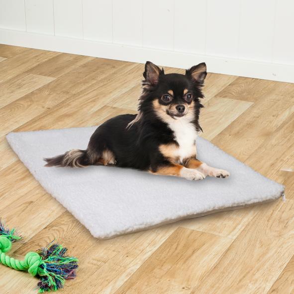 Wärmedecke für Haustiere