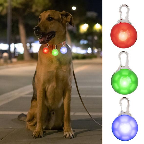 LED Clip für Hunde, farblich sortiert