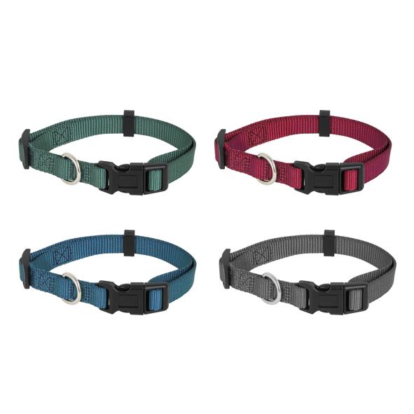 Hundehalsband, farblich sortiert