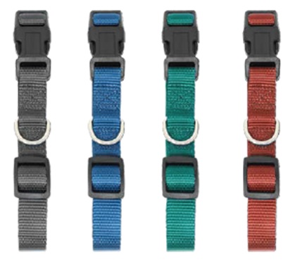 Hundehalsband, farblich sortiert