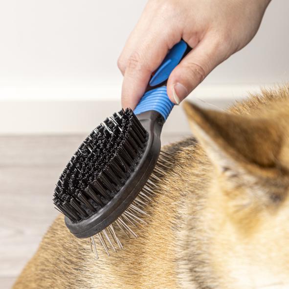 Haustier-Pflegebürste