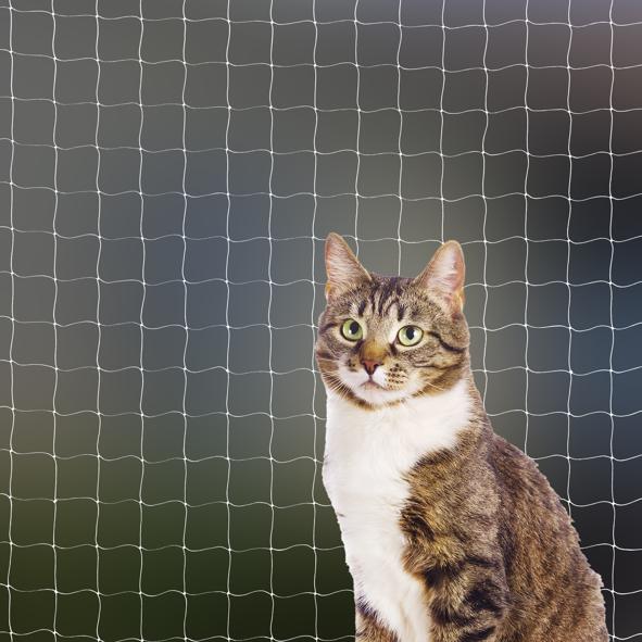 Katzen Sicherheitsnetz