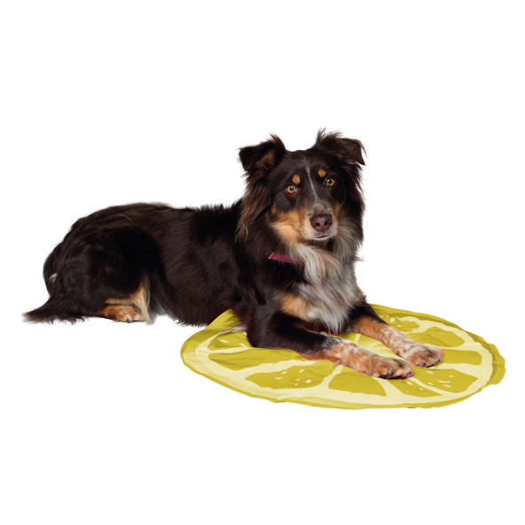 Hundekühlmatte, Zitrone
