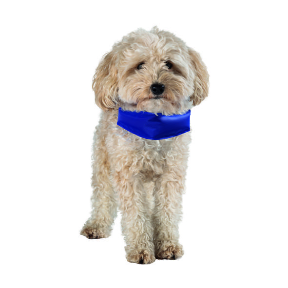 Hundekühlschal, Gr. L