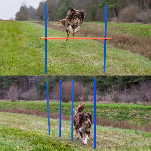 Agility Set, Stangen