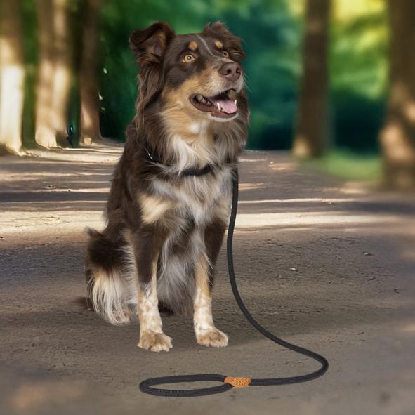 Hundeleine, Schlaufe, 130 x 1cm