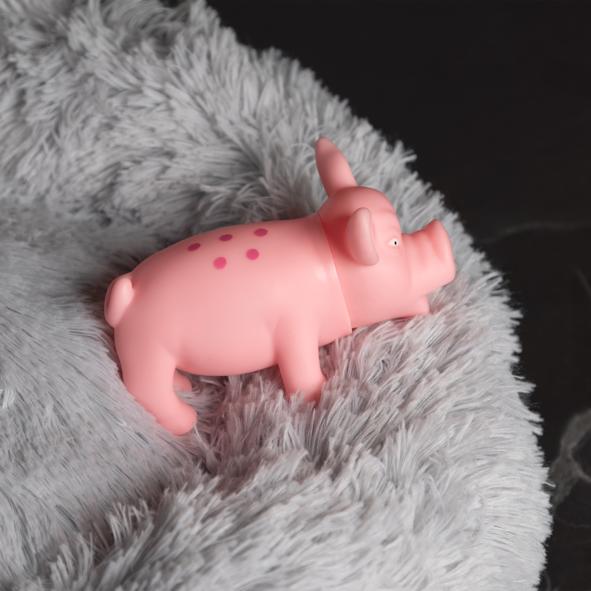 Hundespielzeug, quietschend