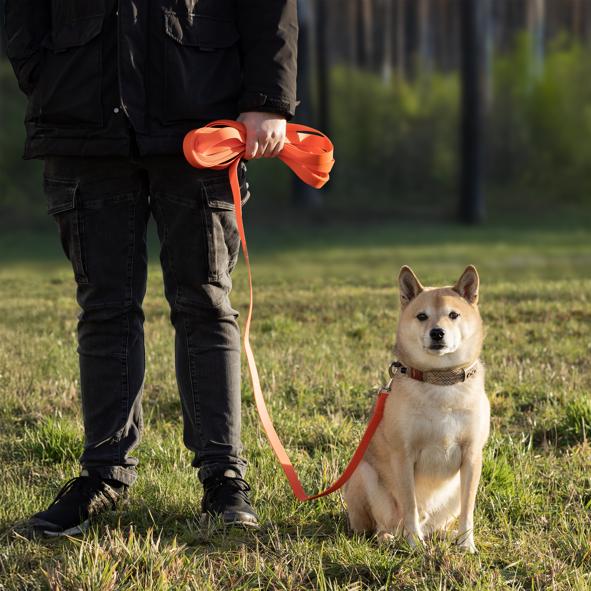 Hundeleine, wasserabweisend, ca. 10m