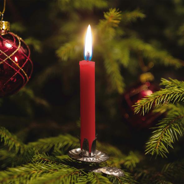 Baumkerzen 24er, rot