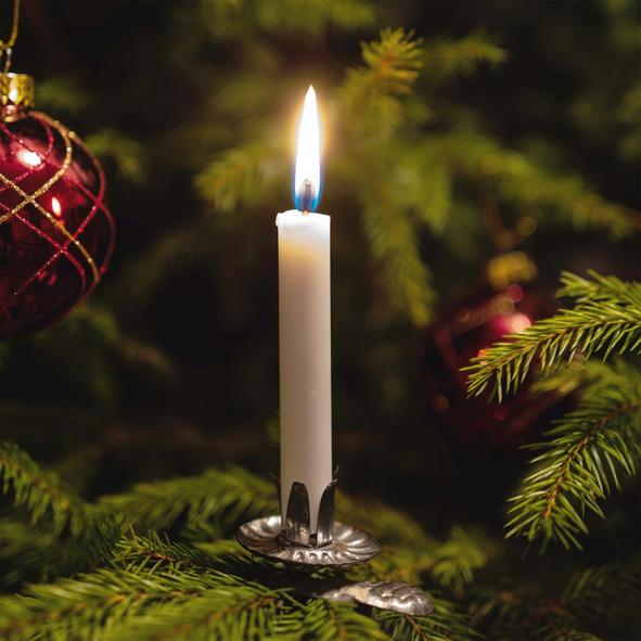 Baumkerzen 24er, champagner