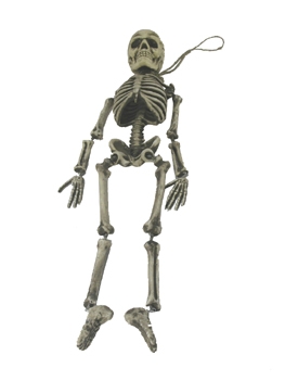 Halloween-Skelett, mittel