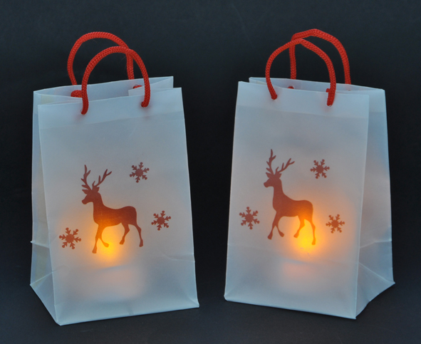 Lichttüten Set 2tlg. im Weihnachtsdesign