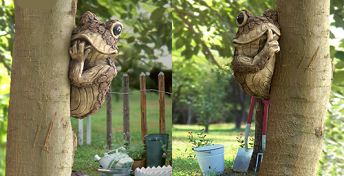 Baumgucker - Frösche