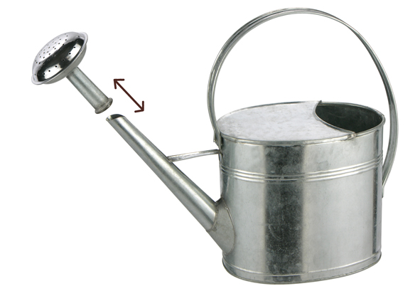 Gießkanne aus Zink mit Tragegriff