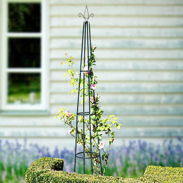 Rankhilfe, Pyramide, Stahl