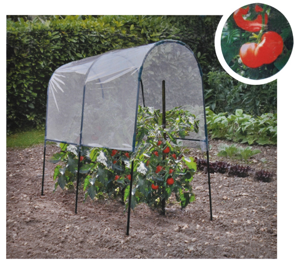 Tomaten-Garage