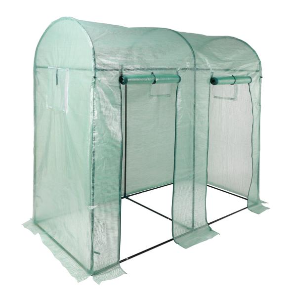 Gewächshaus mit 2 Türen