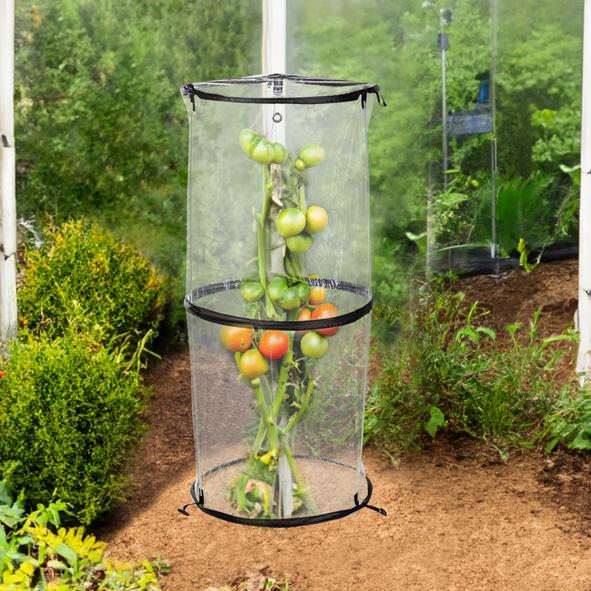 Tomaten-Gewächshaus