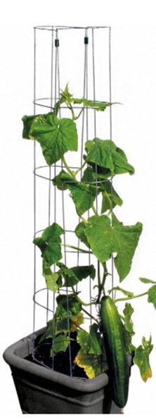Rankhilfe für Gurken – Gesamthöhe 118cm