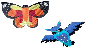 Drachen in 2 verschiedenen