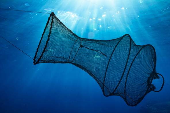 Fischreuse / Setzkescher