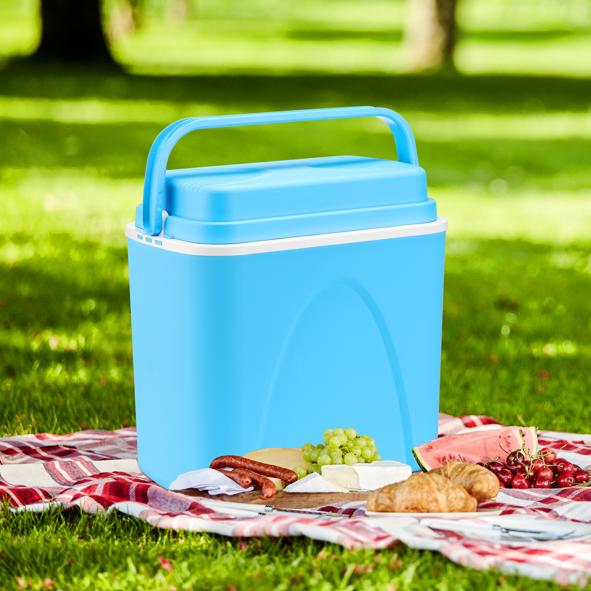 Elektrische Kühlbox (12V)