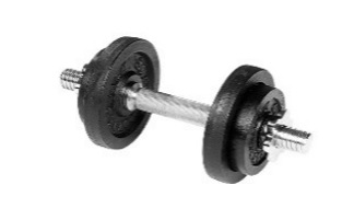 Kurzhantel- Set Gusseisen