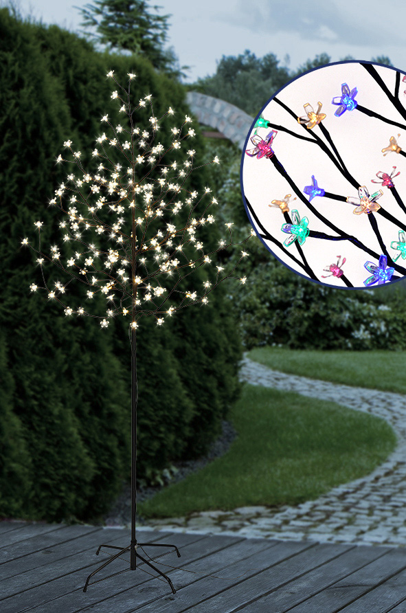 Kirschblütenbaum (Sakura-Baum)