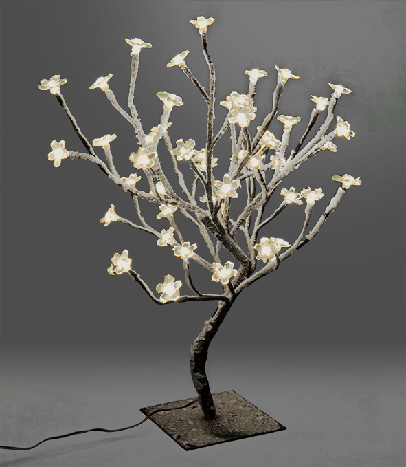 Kirschblütenbaum (Sakura-Baum)