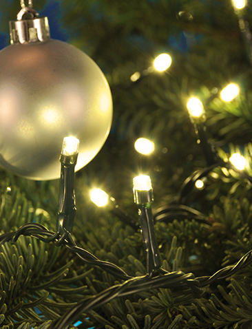 LED Lichterkette mit 50 Lämpchen für