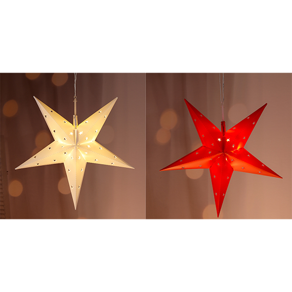 Weihnachtsstern in weiß oder rot