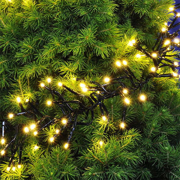 Cluster-Lichterkette mit 192 LED