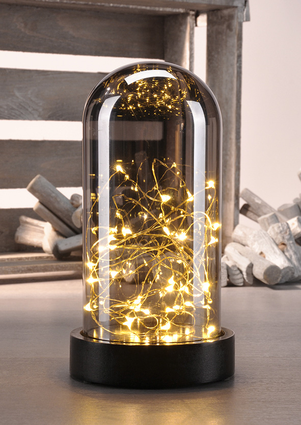 Deko Glasglocke mit Mini-LED Lichterdraht